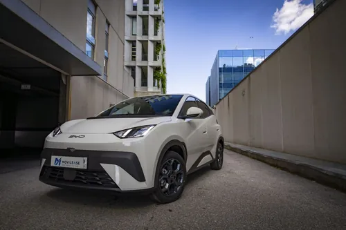 BYD Dolphin Surf