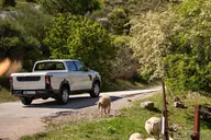 KGM Musso D22 Pro, tres cuartos trasero en un camino de montaña con ovejas