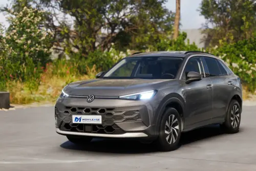 Volkswagen T-Roc Gris Lobo